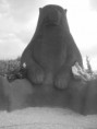 /album/galeria-de-fotos/a1-jpg/